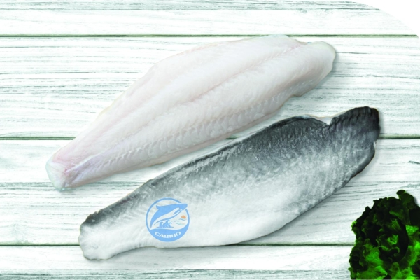 Frozen Pangasius Fillets - Skin on